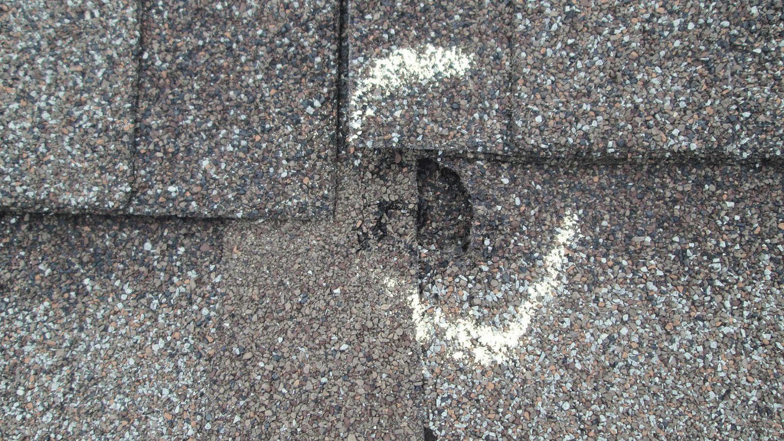 Close-up of hail damage on an asphalt shingle roof